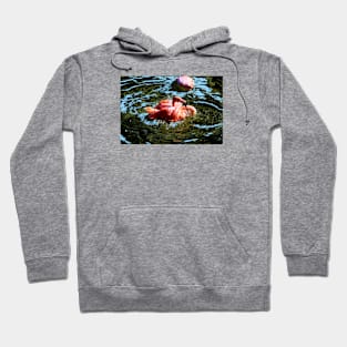 Flamingo / Swiss Artwork Photography Hoodie